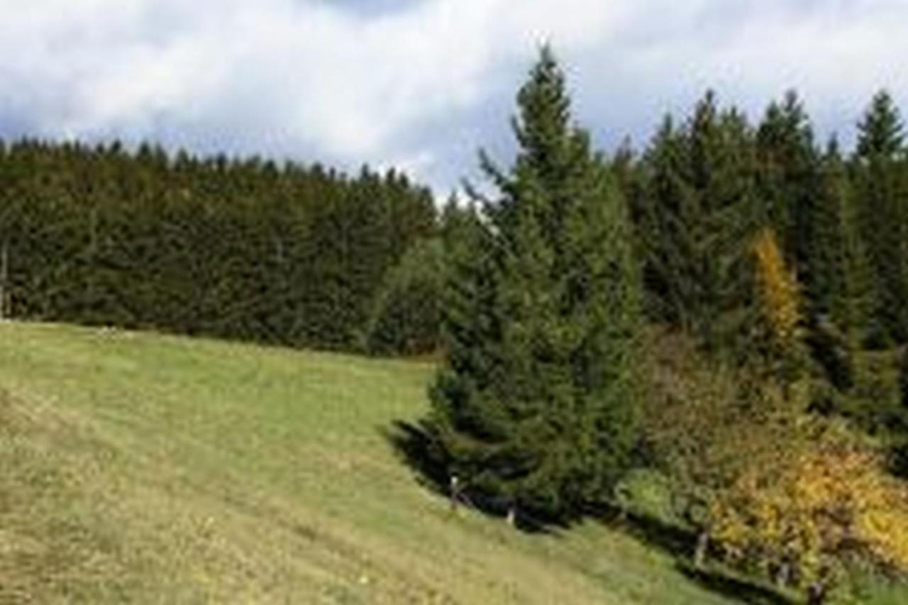 Landgasthof Hauser Immendingen Екстериор снимка